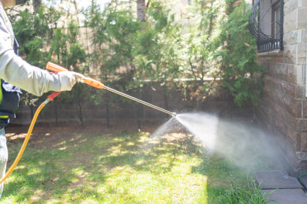 Best Termite Control Services  in Greenville, OH