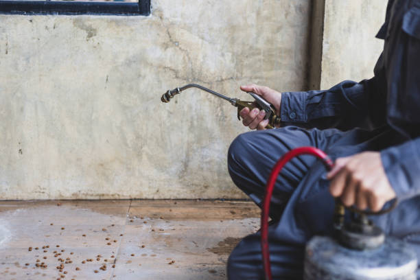 Best Best Pest Control Companies  in Greenville, OH